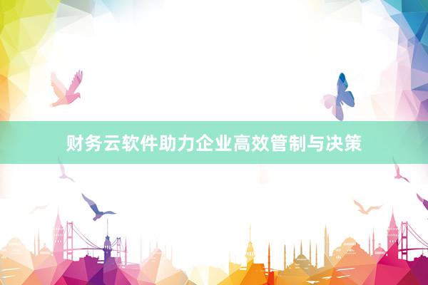 财务云软件助力企业高效管制与决策