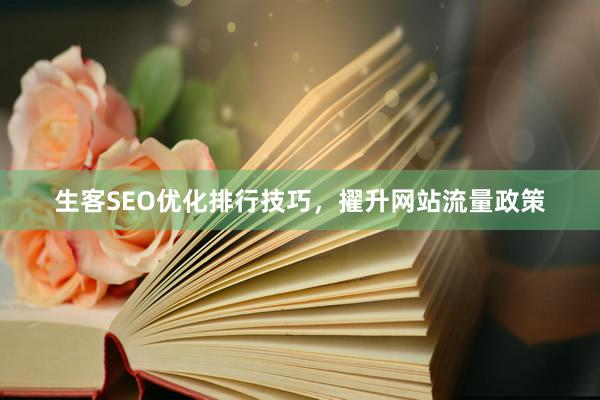 生客SEO优化排行技巧，擢升网站流量政策