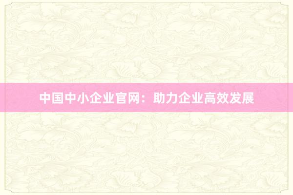 中国中小企业官网：助力企业高效发展