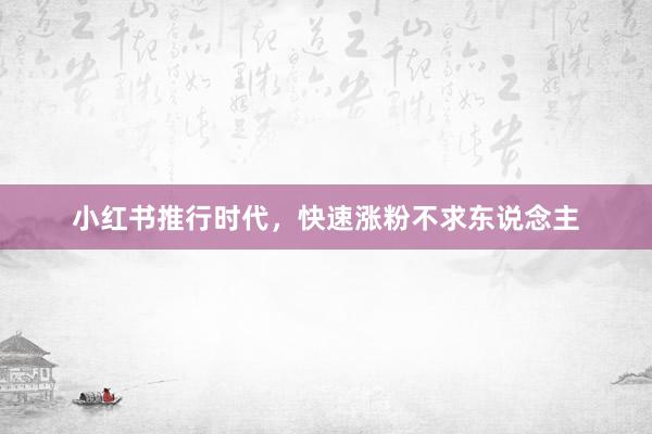 小红书推行时代，快速涨粉不求东说念主